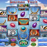 siberian_tiger_reels